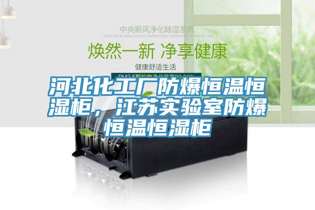 河北化工廠防爆恒溫恒濕柜，江蘇實(shí)驗(yàn)室防爆恒溫恒濕柜