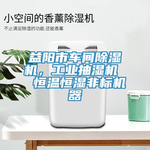 益陽(yáng)市車間除濕機(jī)，工業(yè)抽濕機(jī)  恒溫恒濕非標(biāo)機(jī)器