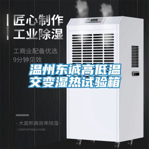 溫州東誠高低溫交變濕熱試驗箱