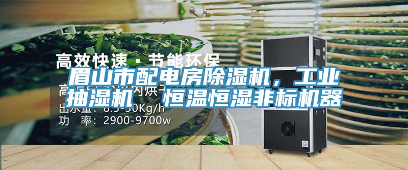 眉山市配電房除濕機，工業(yè)抽濕機  恒溫恒濕非標機器