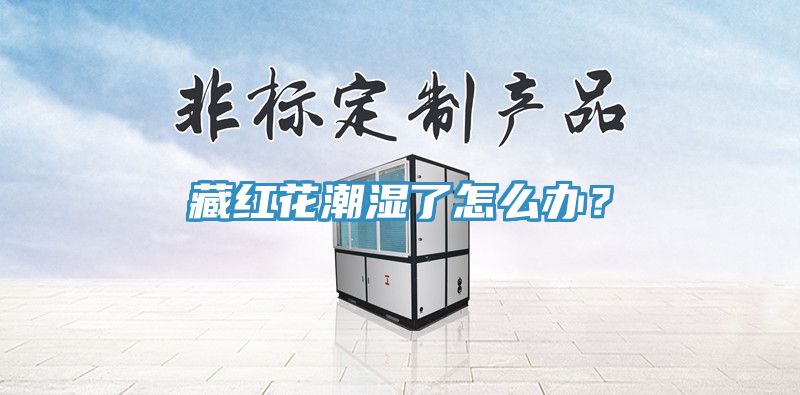 藏紅花潮濕了怎么辦？