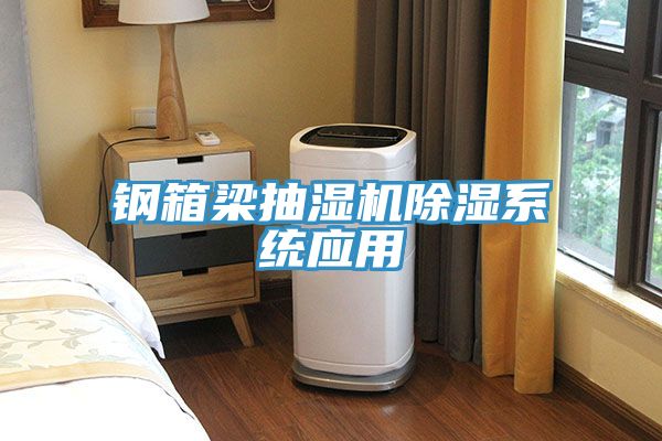 鋼箱梁抽濕機除濕系統(tǒng)應用