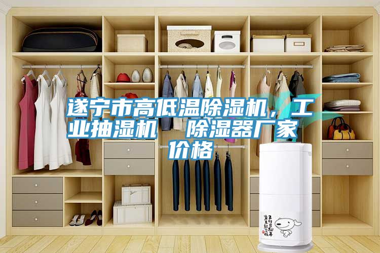 遂寧市高低溫除濕機(jī)，工業(yè)抽濕機(jī)  除濕器廠家 價(jià)格