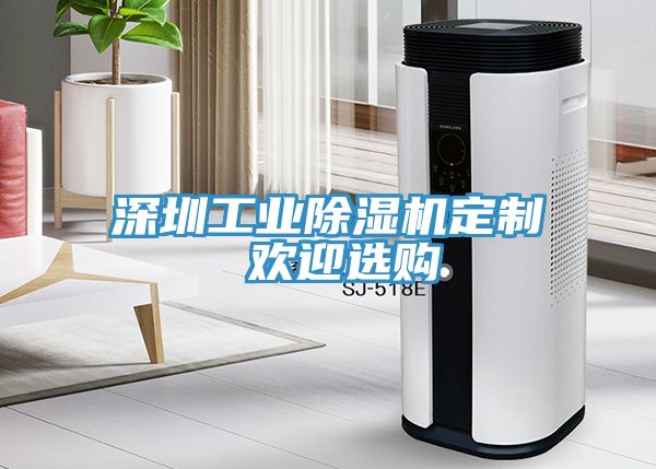 深圳工業(yè)除濕機(jī)定制 歡迎選購(gòu)