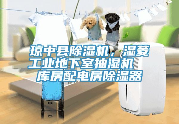 瓊中縣除濕機(jī)，濕菱工業(yè)地下室抽濕機(jī)  庫房配電房除濕器