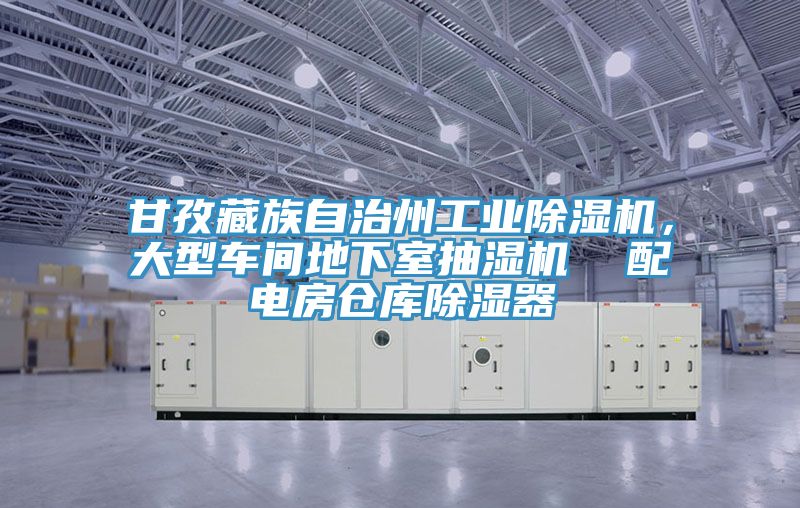 甘孜藏族自治州工業(yè)除濕機，大型車間地下室抽濕機  配電房倉庫除濕器