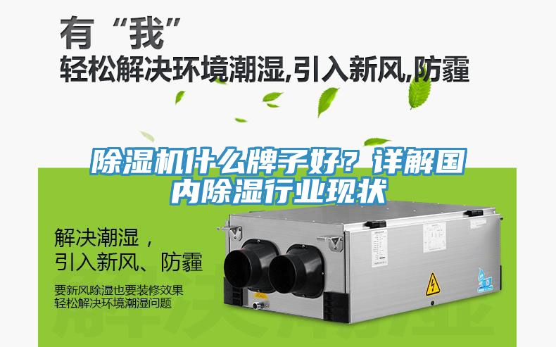 除濕機(jī)什么牌子好？詳解國(guó)內(nèi)除濕行業(yè)現(xiàn)狀