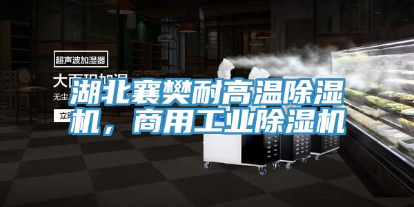 湖北襄樊耐高溫除濕機，商用工業(yè)除濕機