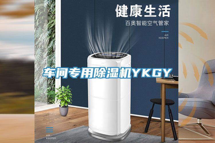 車間專用除濕機(jī)YKGY