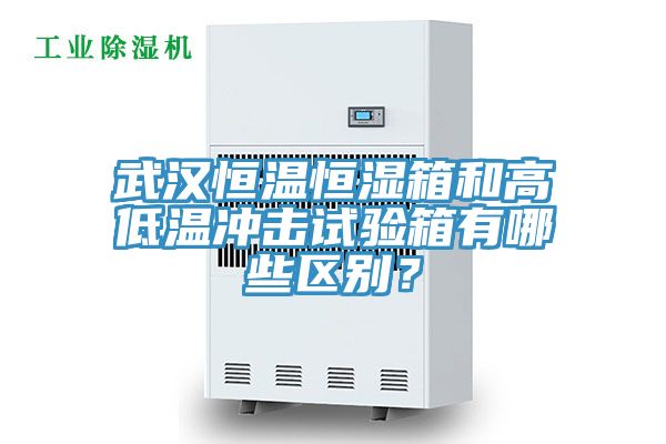 武漢恒溫恒濕箱和高低溫沖擊試驗(yàn)箱有哪些區(qū)別？