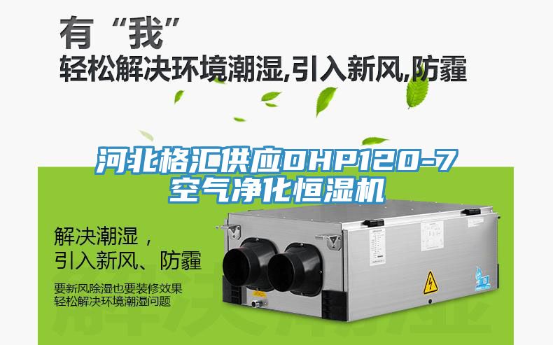 河北格匯供應(yīng)DHP120-7空氣凈化恒濕機