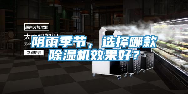 陰雨季節(jié)，選擇哪款除濕機(jī)效果好？