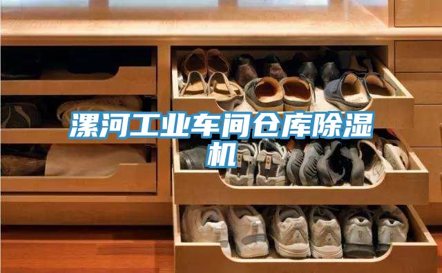 漯河工業(yè)車間倉庫除濕機
