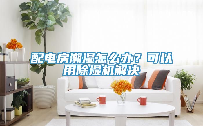 配電房潮濕怎么辦？可以用除濕機解決
