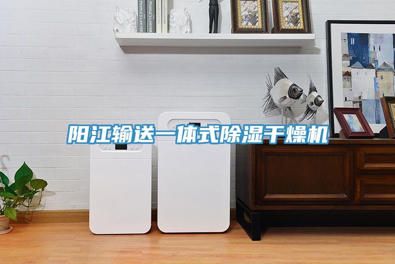 陽江輸送一體式除濕干燥機(jī)