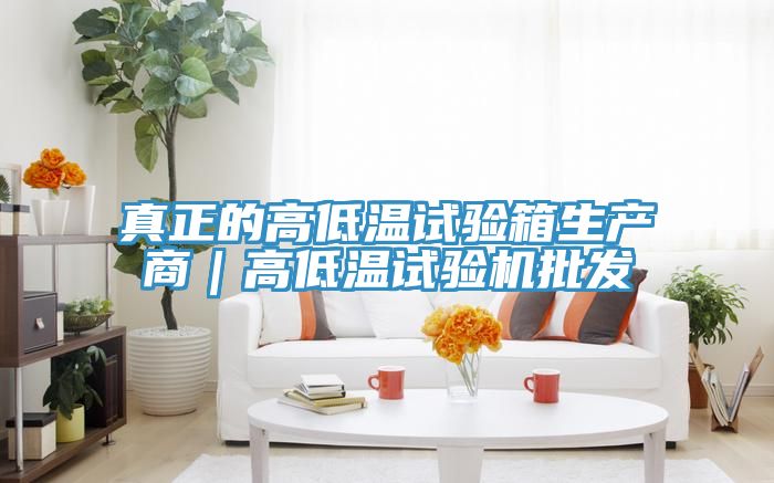 真正的高低溫試驗箱生產(chǎn)商｜高低溫試驗機批發(fā)