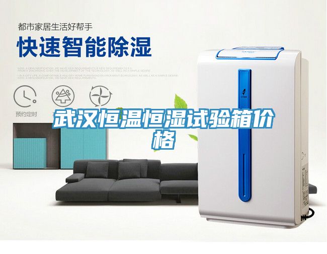 武漢恒溫恒濕試驗(yàn)箱價(jià)格