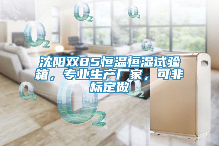 沈陽雙85恒溫恒濕試驗箱，專業(yè)生產(chǎn)廠家，可非標(biāo)定做