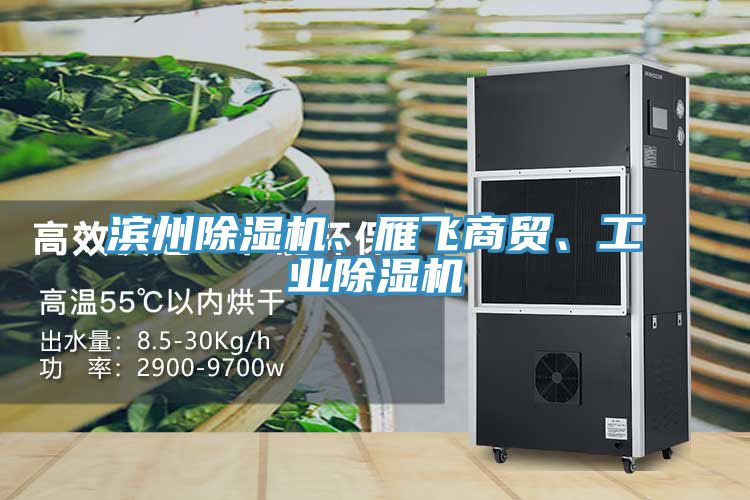 濱州除濕機、雁飛商貿(mào)、工業(yè)除濕機
