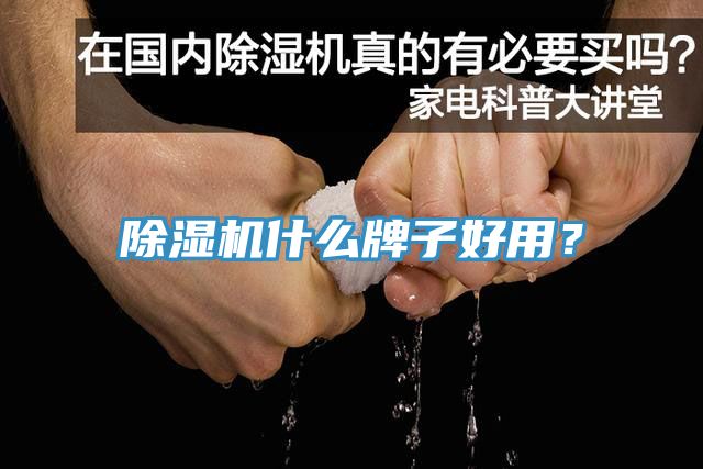 除濕機(jī)什么牌子好用？
