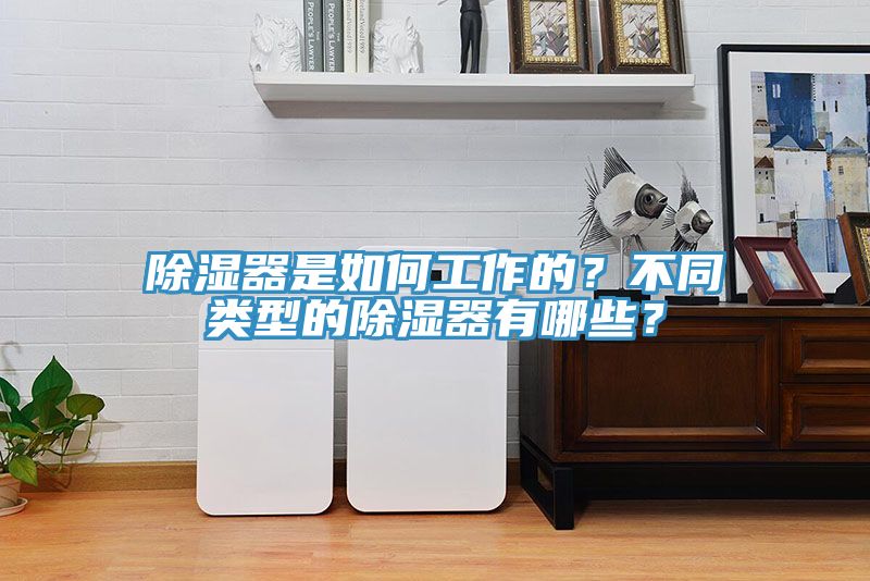 除濕器是如何工作的？不同類型的除濕器有哪些？