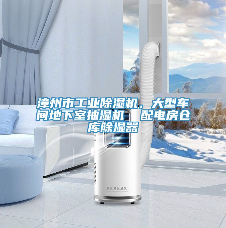 漳州市工業(yè)除濕機，大型車間地下室抽濕機  配電房倉庫除濕器