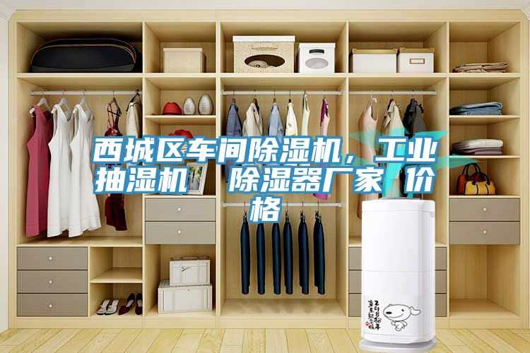 西城區(qū)車間除濕機，工業(yè)抽濕機  除濕器廠家 價格
