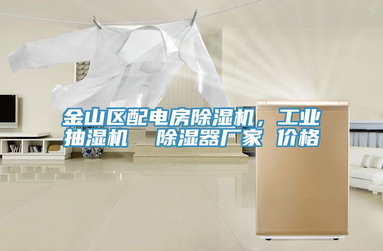 金山區(qū)配電房除濕機(jī)，工業(yè)抽濕機(jī)  除濕器廠(chǎng)家 價(jià)格