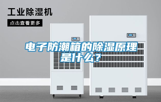 電子防潮箱的除濕原理是什么？