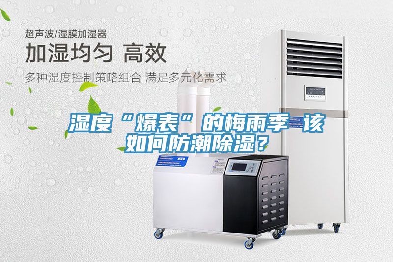 濕度“爆表”的梅雨季 該如何防潮除濕？