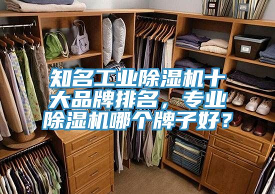 知名工業(yè)除濕機十大品牌排名，專業(yè)除濕機哪個牌子好？