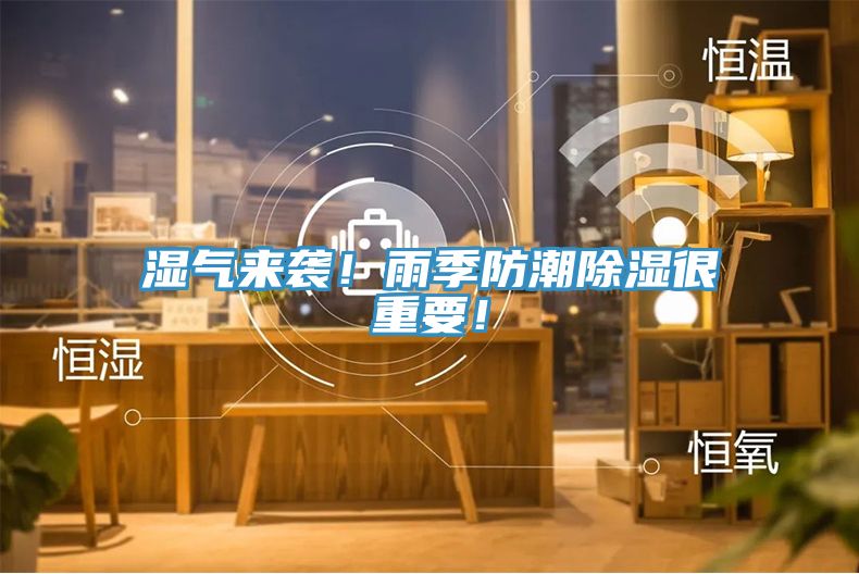 濕氣來襲！雨季防潮除濕很重要！