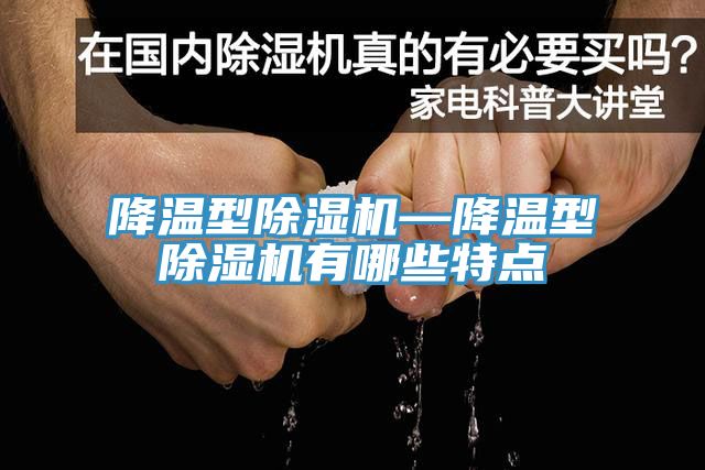 降溫型除濕機(jī)—降溫型除濕機(jī)有哪些特點(diǎn)