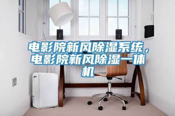 電影院新風(fēng)除濕系統(tǒng)，電影院新風(fēng)除濕一體機(jī)
