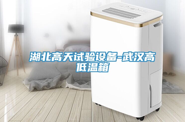 湖北高天試驗設(shè)備-武漢高低溫箱