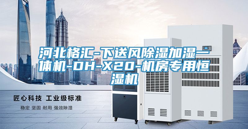 河北格匯-下送風(fēng)除濕加濕一體機-DH-X20-機房專用恒濕機