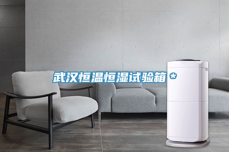武漢恒溫恒濕試驗(yàn)箱＊