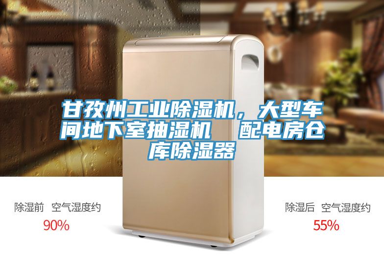 甘孜州工業(yè)除濕機，大型車間地下室抽濕機  配電房倉庫除濕器