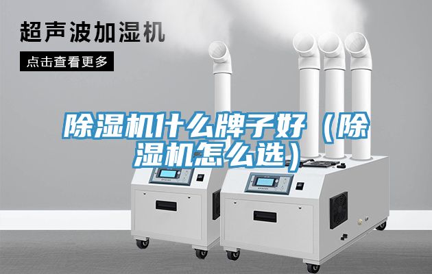 除濕機(jī)什么牌子好（除濕機(jī)怎么選）