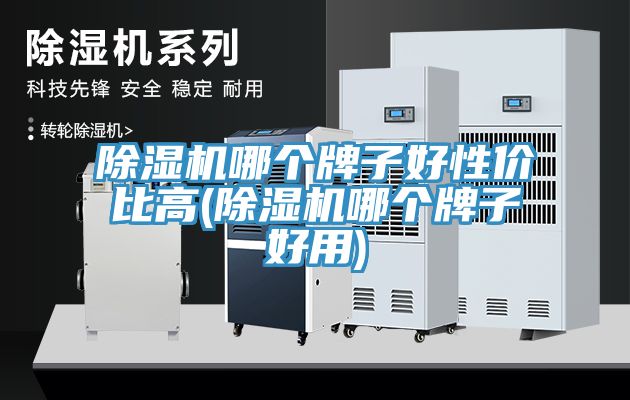 除濕機(jī)哪個牌子好性價比高(除濕機(jī)哪個牌子好用)