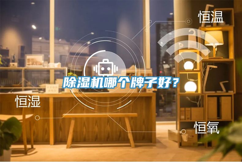 除濕機(jī)哪個(gè)牌子好？
