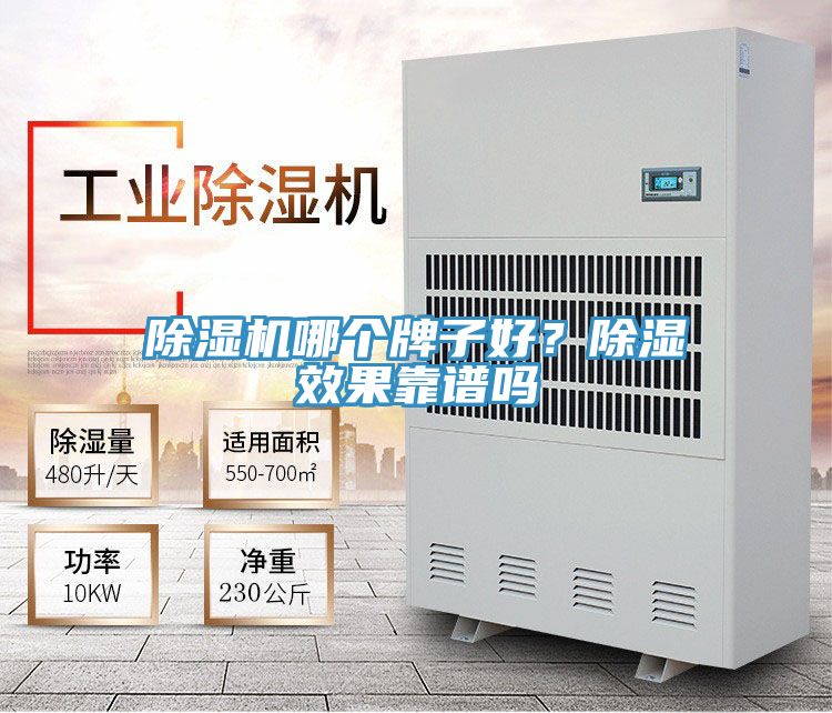 除濕機(jī)哪個(gè)牌子好？除濕效果靠譜嗎
