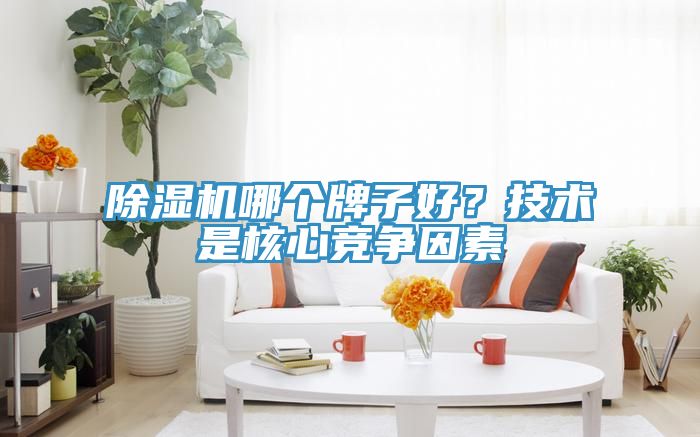除濕機(jī)哪個(gè)牌子好？技術(shù)是核心競(jìng)爭(zhēng)因素
