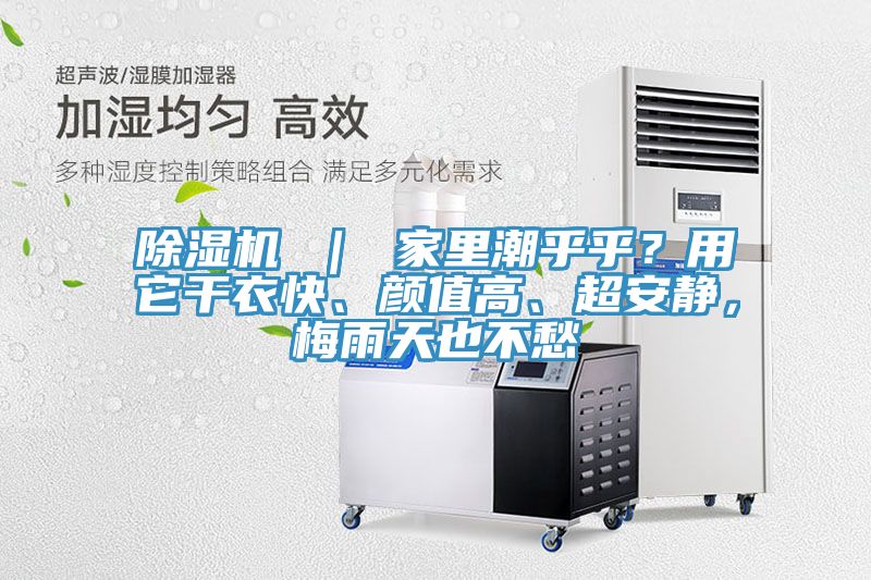 除濕機(jī) ｜ 家里潮乎乎？用它干衣快、顏值高、超安靜，梅雨天也不愁