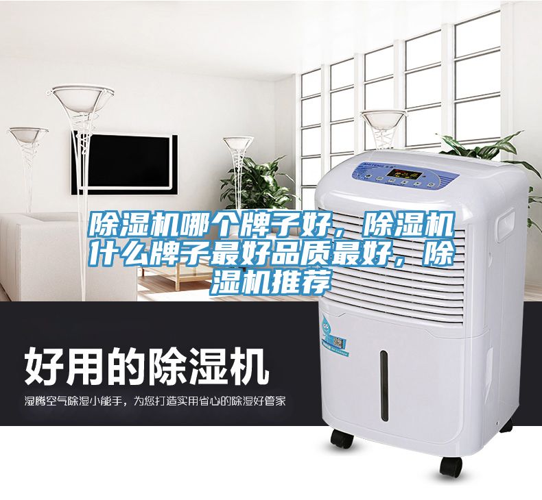 除濕機(jī)哪個(gè)牌子好，除濕機(jī)什么牌子最好品質(zhì)最好，除濕機(jī)推薦