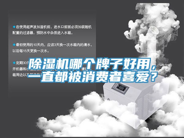 除濕機(jī)哪個牌子好用，一直都被消費者喜愛？