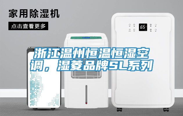 浙江溫州恒溫恒濕空調(diào)，濕菱品牌SL系列