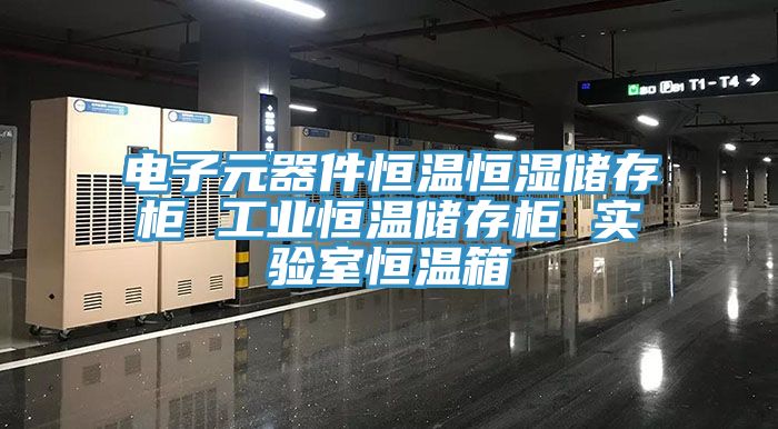 電子元器件恒溫恒濕儲(chǔ)存柜 工業(yè)恒溫儲(chǔ)存柜 實(shí)驗(yàn)室恒溫箱