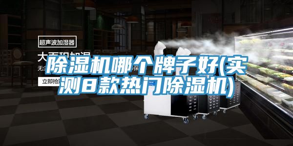 除濕機(jī)哪個牌子好(實測8款熱門除濕機(jī))