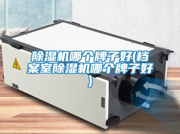 除濕機(jī)哪個牌子好(檔案室除濕機(jī)哪個牌子好)